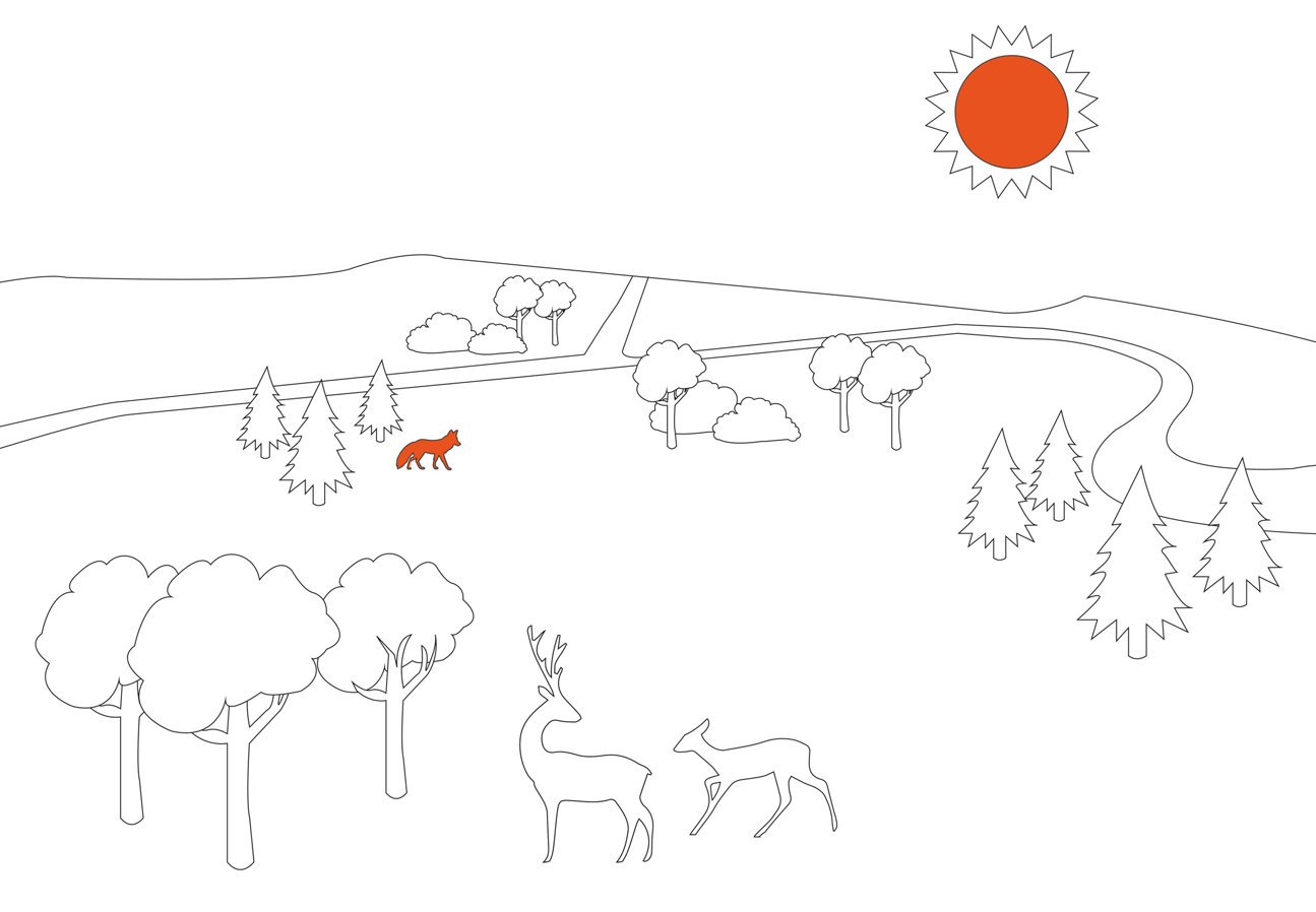 Illustration av återskapad natur efter solcellsparks upphörande